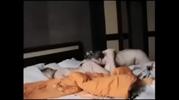 One-Nightstand – After Party fucking with Cougar